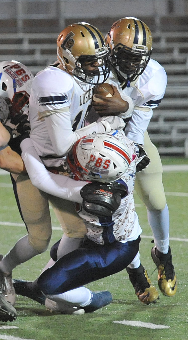 brlusherparkview111117 3.jpg